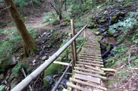 天照山神社経路写真