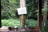 天照山神社写真