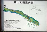 幕山公園地図