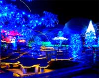 冬ほたるin万葉の写真