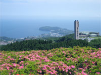 星ヶ山公園より真鶴半島を臨む